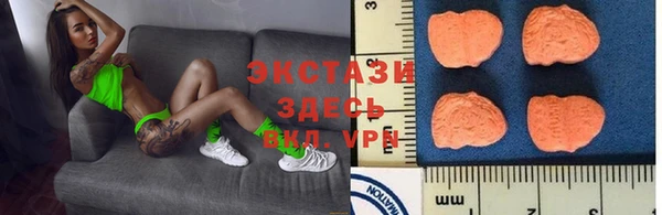 крисы Бородино