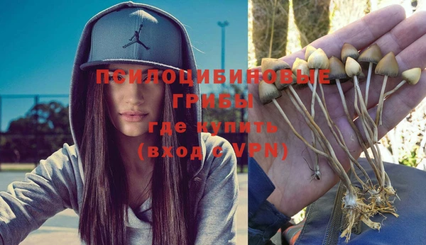 крисы Бородино