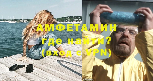 крисы Бородино
