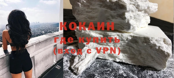 крисы Бородино