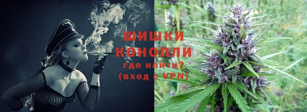 стаф Богданович