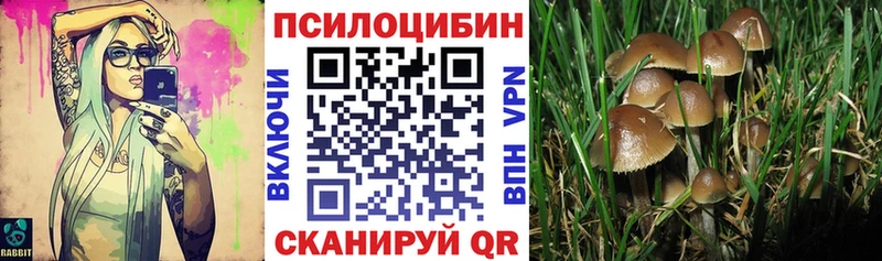 Псилоцибиновые грибы ЛСД  наркотики  Вяземский 